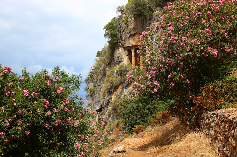 Kaya Tırmanışı Güvenlik İpuçları